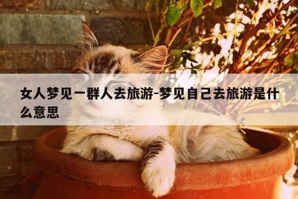 女人梦见一群人去旅游-梦见自己去旅游是什么意思-第1张图片-优惠活动网