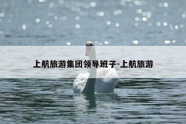 上航旅游集团领导班子-上航旅游-第1张图片-优惠活动网