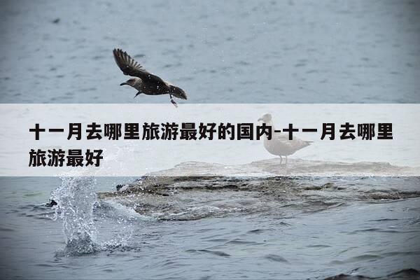 十一月去哪里旅游最好的国内-十一月去哪里旅游最好-第1张图片-优惠活动网 十一月去哪里旅游最好的国内-十一月去哪里旅游最好-第1张图片-优惠活动网