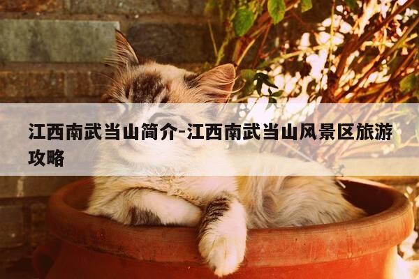 江西南武当山简介-江西南武当山风景区旅游攻略-第1张图片-优惠活动网 江西南武当山简介-江西南武当山风景区旅游攻略-第1张图片-优惠活动网