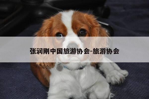张润刚中国旅游协会-旅游协会-第1张图片-优惠活动网 张润刚中国旅游协会-旅游协会-第1张图片-优惠活动网