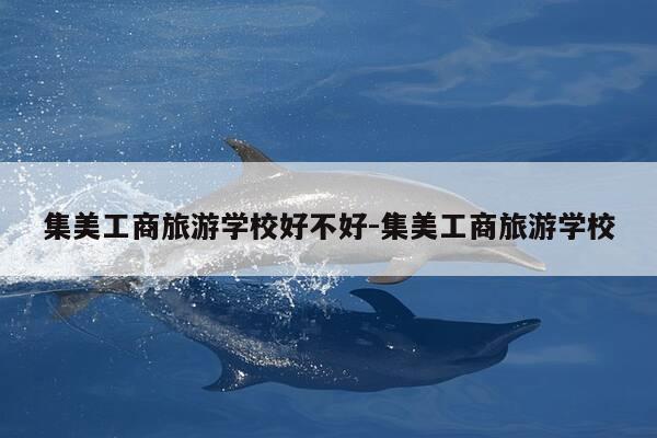 集美工商旅游学校好不好-集美工商旅游学校-第1张图片-优惠活动网 集美工商旅游学校好不好-集美工商旅游学校-第1张图片-优惠活动网