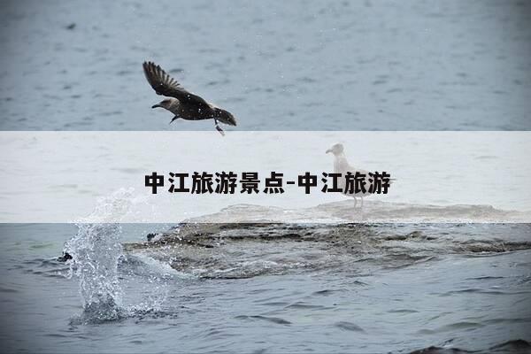 中江旅游景点-中江旅游-第1张图片-优惠活动网 中江旅游景点-中江旅游-第1张图片-优惠活动网