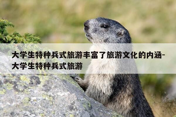 大学生特种兵式旅游丰富了旅游文化的内涵-大学生特种兵式旅游-第1张图片-优惠活动网 大学生特种兵式旅游丰富了旅游文化的内涵-大学生特种兵式旅游-第1张图片-优惠活动网
