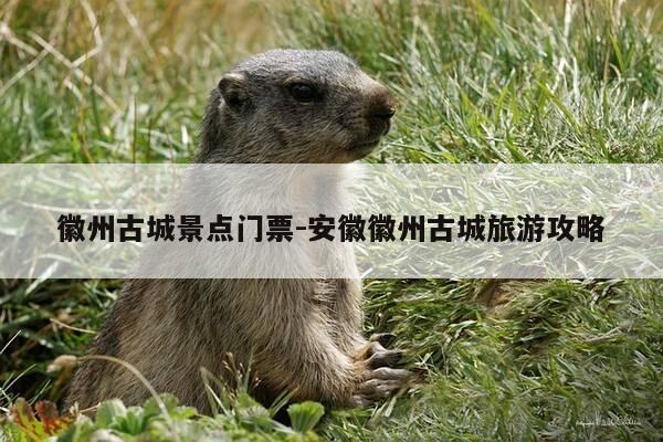徽州古城景点门票-安徽徽州古城旅游攻略-第1张图片-优惠活动网 徽州古城景点门票-安徽徽州古城旅游攻略-第1张图片-优惠活动网