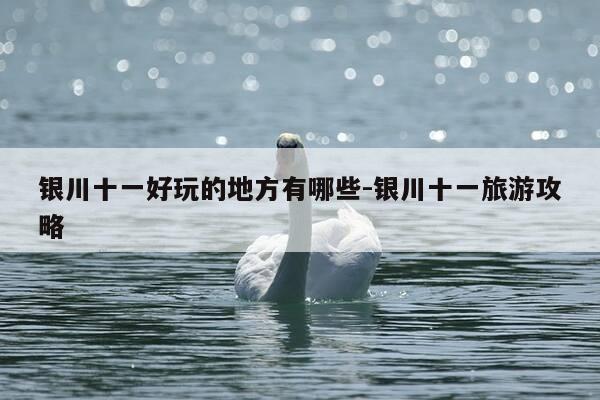 银川十一好玩的地方有哪些-银川十一旅游攻略-第1张图片-优惠活动网 银川十一好玩的地方有哪些-银川十一旅游攻略-第1张图片-优惠活动网