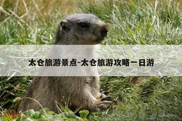 太仓旅游景点-太仓旅游攻略一日游-第1张图片-优惠活动网 太仓旅游景点-太仓旅游攻略一日游-第1张图片-优惠活动网