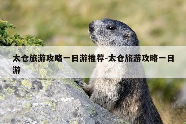 太仓旅游攻略一日游推荐-太仓旅游攻略一日游-第1张图片-优惠活动网 太仓旅游攻略一日游推荐-太仓旅游攻略一日游-第1张图片-优惠活动网