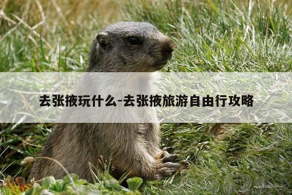 去张掖玩什么-去张掖旅游自由行攻略-第1张图片-优惠活动网 去张掖玩什么-去张掖旅游自由行攻略-第1张图片-优惠活动网