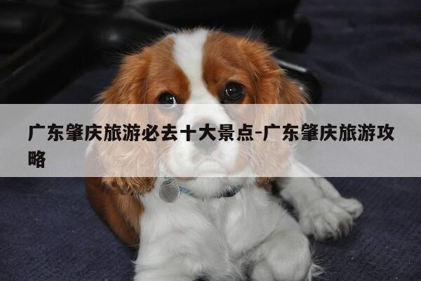 广东肇庆旅游必去十大景点-广东肇庆旅游攻略-第1张图片-优惠活动网 广东肇庆旅游必去十大景点-广东肇庆旅游攻略-第1张图片-优惠活动网