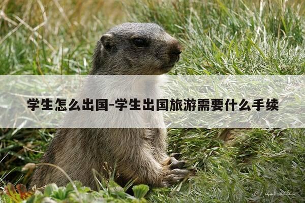 学生怎么出国-学生出国旅游需要什么手续-第1张图片-优惠活动网 学生怎么出国-学生出国旅游需要什么手续-第1张图片-优惠活动网