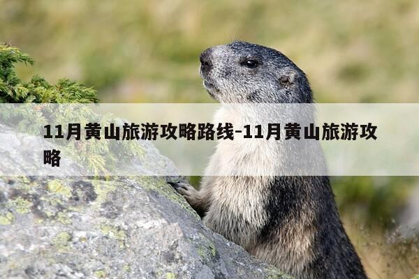 11月黄山旅游攻略路线-11月黄山旅游攻略-第1张图片-优惠活动网 11月黄山旅游攻略路线-11月黄山旅游攻略-第1张图片-优惠活动网