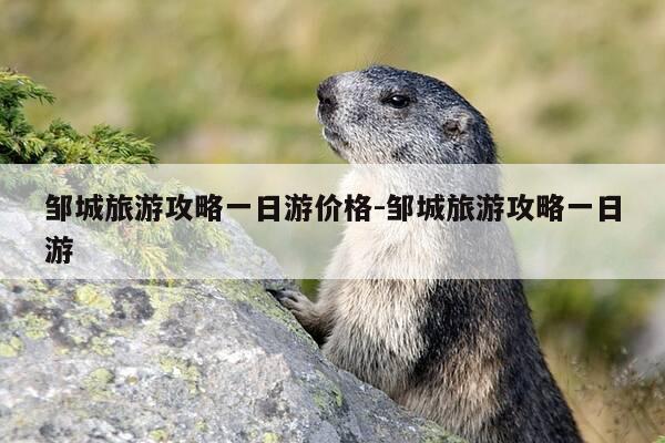 邹城旅游攻略一日游价格-邹城旅游攻略一日游-第1张图片-优惠活动网 邹城旅游攻略一日游价格-邹城旅游攻略一日游-第1张图片-优惠活动网