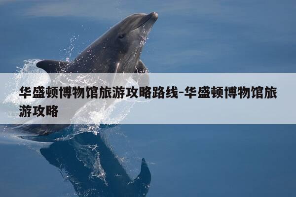华盛顿博物馆旅游攻略路线-华盛顿博物馆旅游攻略-第1张图片-优惠活动网 华盛顿博物馆旅游攻略路线-华盛顿博物馆旅游攻略-第1张图片-优惠活动网