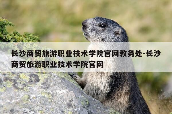 长沙商贸旅游职业技术学院官网教务处-长沙商贸旅游职业技术学院官网-第1张图片-优惠活动网 长沙商贸旅游职业技术学院官网教务处-长沙商贸旅游职业技术学院官网-第1张图片-优惠活动网