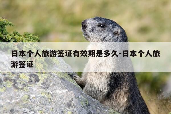 日本个人旅游签证有效期是多久-日本个人旅游签证-第1张图片-优惠活动网 日本个人旅游签证有效期是多久-日本个人旅游签证-第1张图片-优惠活动网