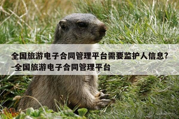 全国旅游电子合同管理平台需要监护人信息?-全国旅游电子合同管理平台-第1张图片-优惠活动网