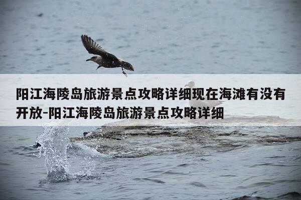 阳江海陵岛旅游景点攻略详细现在海滩有没有开放-阳江海陵岛旅游景点攻略详细-第1张图片-优惠活动网 阳江海陵岛旅游景点攻略详细现在海滩有没有开放-阳江海陵岛旅游景点攻略详细-第1张图片-优惠活动网
