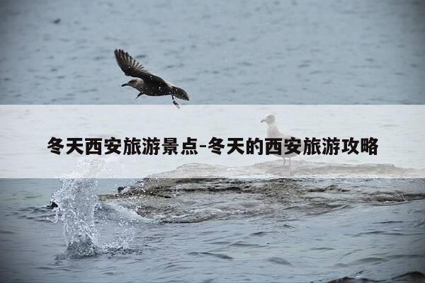 冬天西安旅游景点-冬天的西安旅游攻略-第1张图片-优惠活动网