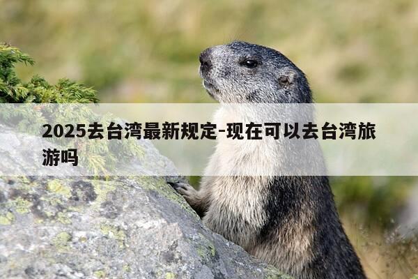 2025去台湾最新规定-现在可以去台湾旅游吗-第1张图片-优惠活动网 2025去台湾最新规定-现在可以去台湾旅游吗-第1张图片-优惠活动网