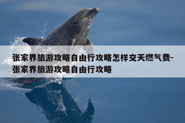 张家界旅游攻略自由行攻略怎样交天燃气费-张家界旅游攻略自由行攻略-第1张图片-优惠活动网 张家界旅游攻略自由行攻略怎样交天燃气费-张家界旅游攻略自由行攻略-第1张图片-优惠活动网