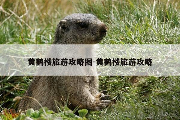 黄鹤楼旅游攻略图-黄鹤楼旅游攻略-第1张图片-优惠活动网 黄鹤楼旅游攻略图-黄鹤楼旅游攻略-第1张图片-优惠活动网
