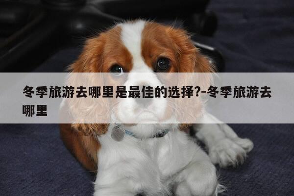 冬季旅游去哪里是最佳的选择?-冬季旅游去哪里-第1张图片-优惠活动网 冬季旅游去哪里是最佳的选择?-冬季旅游去哪里-第1张图片-优惠活动网