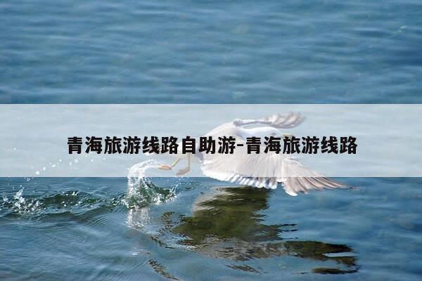 青海旅游线路自助游-青海旅游线路-第1张图片-优惠活动网 青海旅游线路自助游-青海旅游线路-第1张图片-优惠活动网