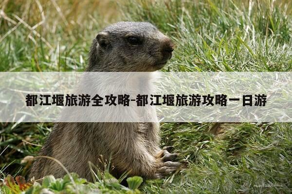 都江堰旅游全攻略-都江堰旅游攻略一日游-第1张图片-优惠活动网 都江堰旅游全攻略-都江堰旅游攻略一日游-第1张图片-优惠活动网