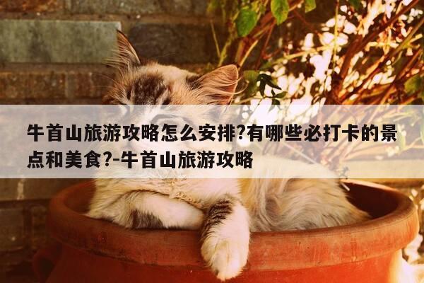 牛首山旅游攻略怎么安排?有哪些必打卡的景点和美食?-牛首山旅游攻略-第1张图片-优惠活动网
