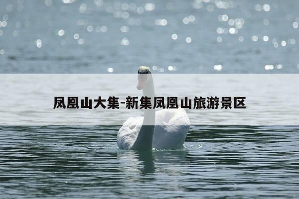 凤凰山大集-新集凤凰山旅游景区-第1张图片-优惠活动网