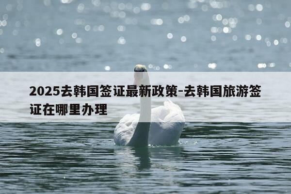 2025去韩国签证最新政策-去韩国旅游签证在哪里办理-第1张图片-优惠活动网 2025去韩国签证最新政策-去韩国旅游签证在哪里办理-第1张图片-优惠活动网
