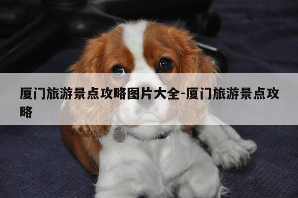 厦门旅游景点攻略图片大全-厦门旅游景点攻略-第1张图片-优惠活动网 厦门旅游景点攻略图片大全-厦门旅游景点攻略-第1张图片-优惠活动网