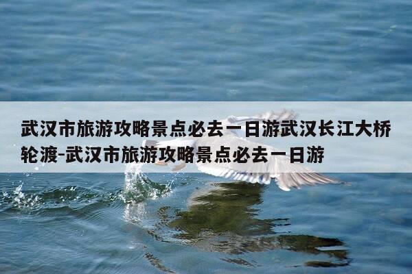 武汉市旅游攻略景点必去一日游武汉长江大桥轮渡-武汉市旅游攻略景点必去一日游-第1张图片-优惠活动网 武汉市旅游攻略景点必去一日游武汉长江大桥轮渡-武汉市旅游攻略景点必去一日游-第1张图片-优惠活动网