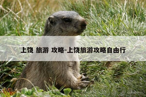 上饶 旅游 攻略-上饶旅游攻略自由行-第1张图片-优惠活动网