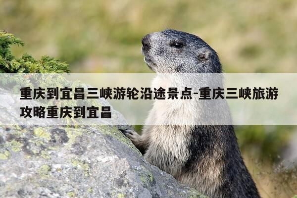 重庆到宜昌三峡游轮沿途景点-重庆三峡旅游攻略重庆到宜昌-第1张图片-优惠活动网 重庆到宜昌三峡游轮沿途景点-重庆三峡旅游攻略重庆到宜昌-第1张图片-优惠活动网