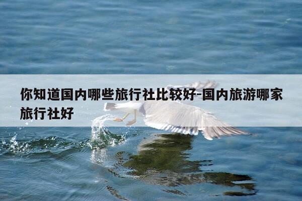你知道国内哪些旅行社比较好-国内旅游哪家旅行社好-第1张图片-优惠活动网