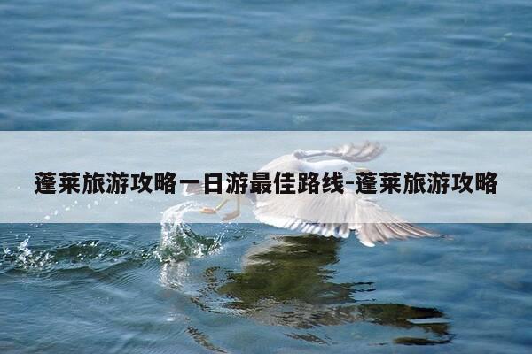 蓬莱旅游攻略一日游最佳路线-蓬莱旅游攻略-第1张图片-优惠活动网 蓬莱旅游攻略一日游最佳路线-蓬莱旅游攻略-第1张图片-优惠活动网