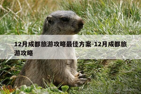 12月成都旅游攻略最佳方案-12月成都旅游攻略-第1张图片-优惠活动网 12月成都旅游攻略最佳方案-12月成都旅游攻略-第1张图片-优惠活动网