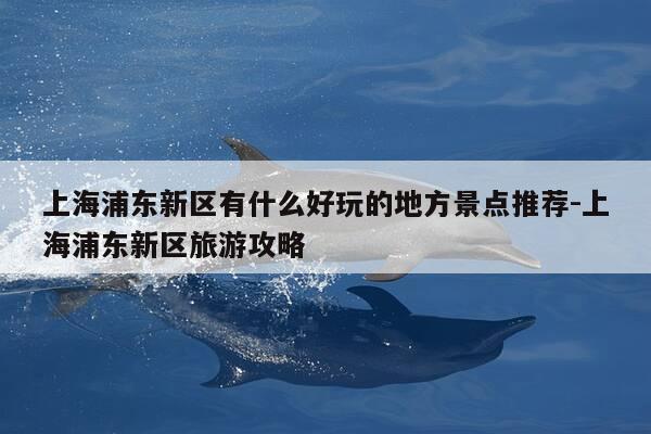 上海浦东新区有什么好玩的地方景点推荐-上海浦东新区旅游攻略-第1张图片-优惠活动网
