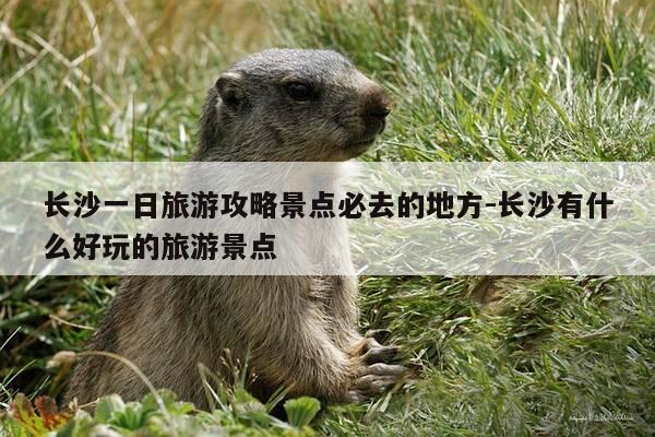 长沙一日旅游攻略景点必去的地方-长沙有什么好玩的旅游景点-第1张图片-优惠活动网 长沙一日旅游攻略景点必去的地方-长沙有什么好玩的旅游景点-第1张图片-优惠活动网