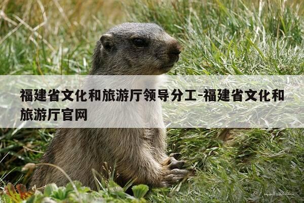 福建省文化和旅游厅领导分工-福建省文化和旅游厅官网-第1张图片-优惠活动网 福建省文化和旅游厅领导分工-福建省文化和旅游厅官网-第1张图片-优惠活动网