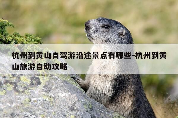 杭州到黄山自驾游沿途景点有哪些-杭州到黄山旅游自助攻略-第1张图片-优惠活动网