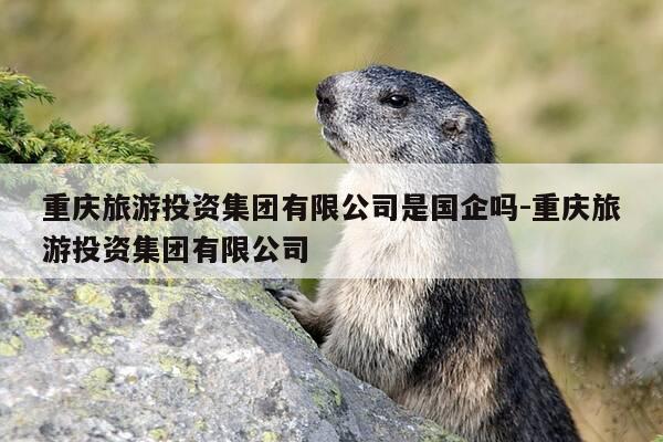 重庆旅游投资集团有限公司是国企吗-重庆旅游投资集团有限公司-第1张图片-优惠活动网