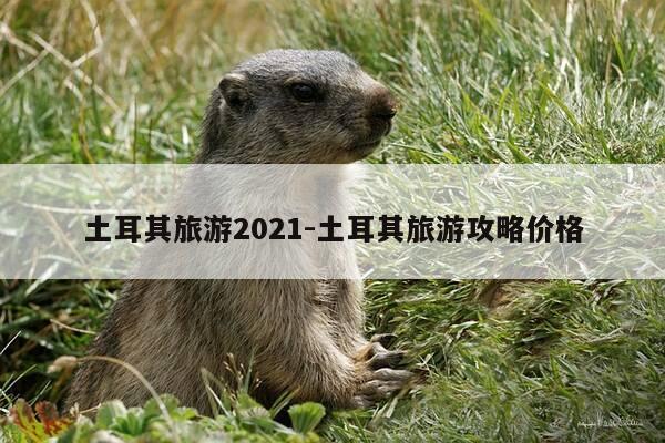 土耳其旅游2021-土耳其旅游攻略价格-第1张图片-优惠活动网 土耳其旅游2021-土耳其旅游攻略价格-第1张图片-优惠活动网