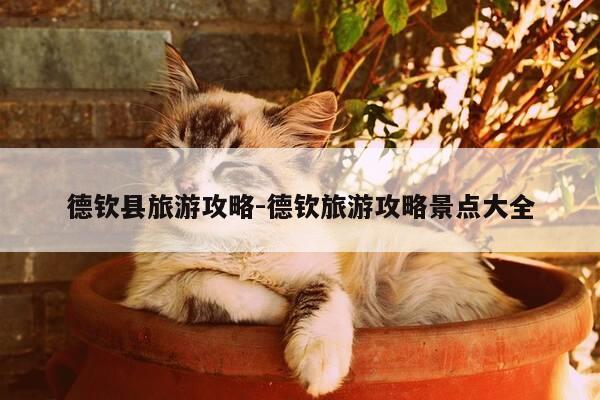 德钦县旅游攻略-德钦旅游攻略景点大全-第1张图片-优惠活动网 德钦县旅游攻略-德钦旅游攻略景点大全-第1张图片-优惠活动网