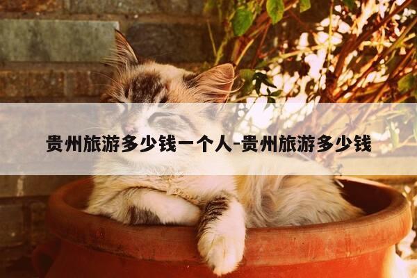 贵州旅游多少钱一个人-贵州旅游多少钱-第1张图片-优惠活动网 贵州旅游多少钱一个人-贵州旅游多少钱-第1张图片-优惠活动网