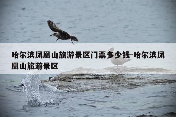 哈尔滨凤凰山旅游景区门票多少钱-哈尔滨凤凰山旅游景区-第1张图片-优惠活动网