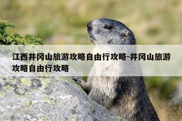 江西井冈山旅游攻略自由行攻略-井冈山旅游攻略自由行攻略-第1张图片-优惠活动网 江西井冈山旅游攻略自由行攻略-井冈山旅游攻略自由行攻略-第1张图片-优惠活动网