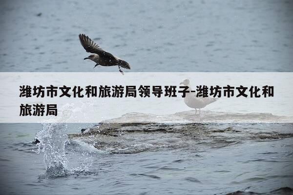 潍坊市文化和旅游局领导班子-潍坊市文化和旅游局-第1张图片-优惠活动网